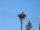 img_5197-128.jpg